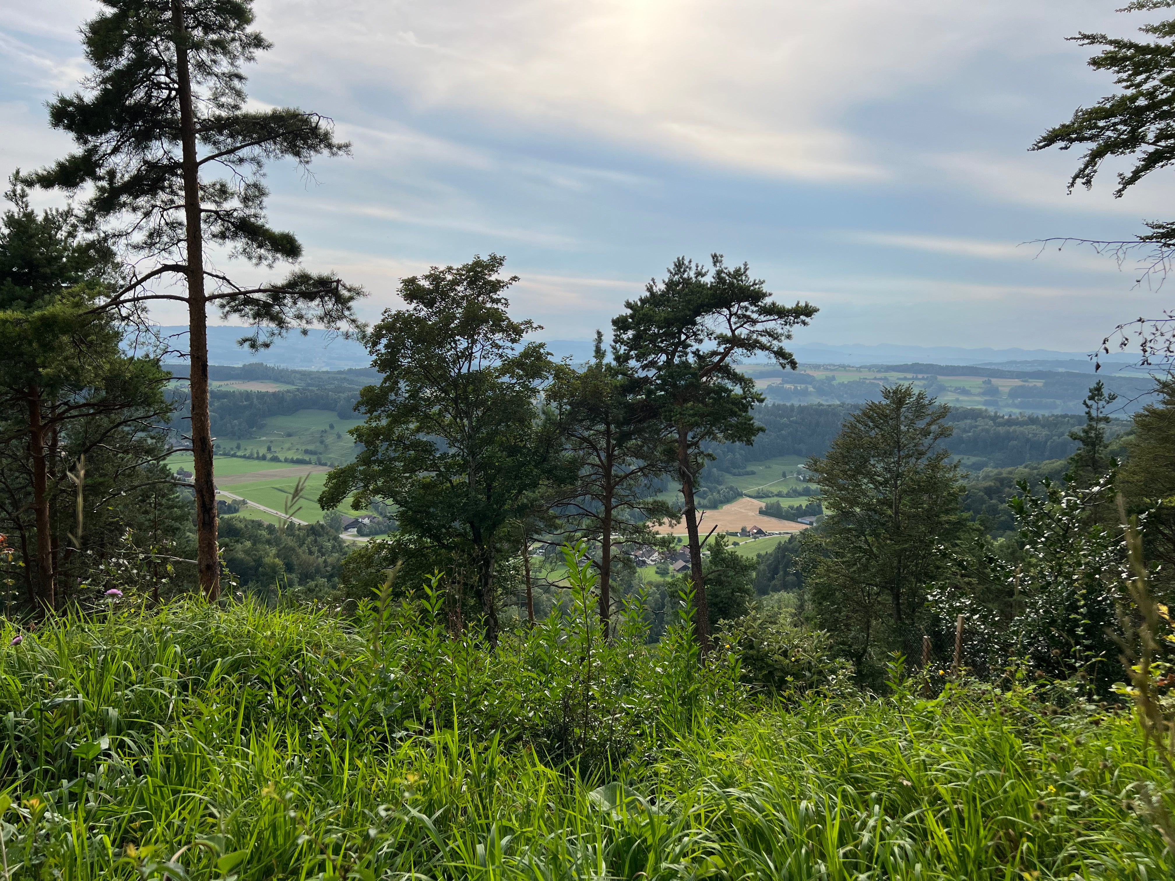 Date and Hike