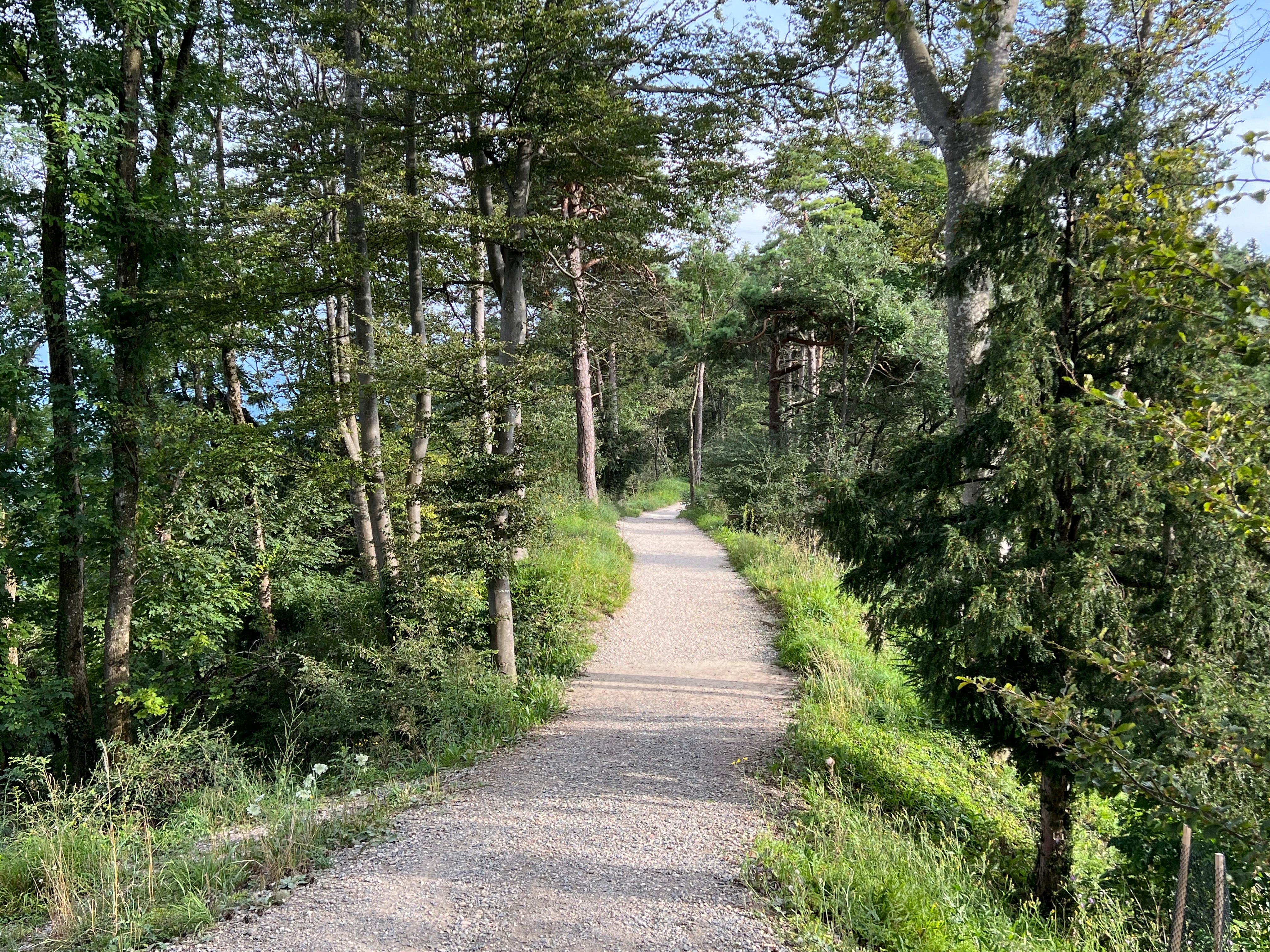 Date and Hike